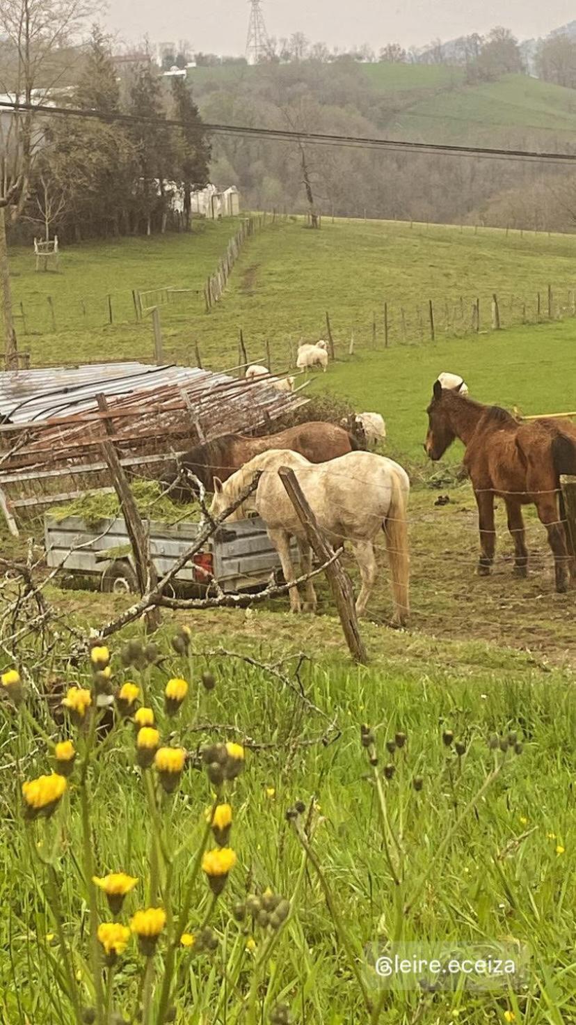 Country house Larre Aundi